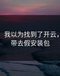 气笑了，我以为找到了开云，结果被带去假安装包
