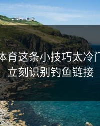 爱游戏体育这条小技巧太冷门，却能立刻识别钓鱼链接