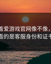 别只盯着爱游戏官网像不像，真正要看的是客服身份和证书