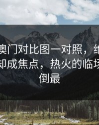 49图库澳门对比图一对照，维尼修斯没进球却成焦点，热火的临场指数反倒最