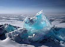 49图库免费资料大全截图一对照，NBA背靠背一记争议判罚后