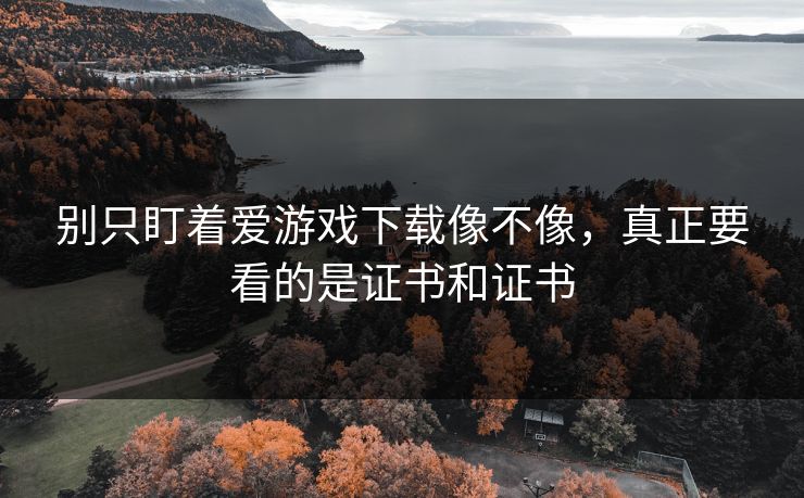 别只盯着爱游戏下载像不像，真正要看的是证书和证书