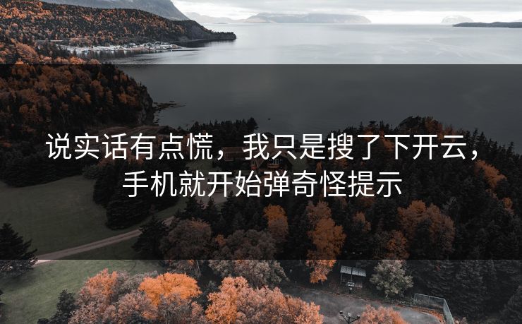 说实话有点慌，我只是搜了下开云，手机就开始弹奇怪提示